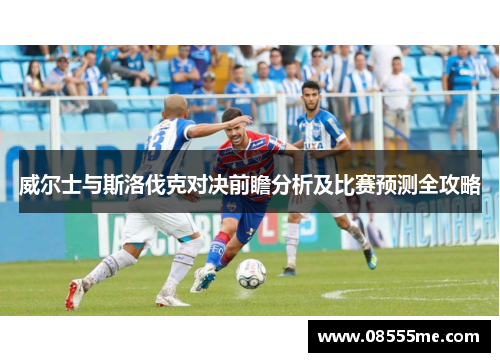 威尔士与斯洛伐克对决前瞻分析及比赛预测全攻略