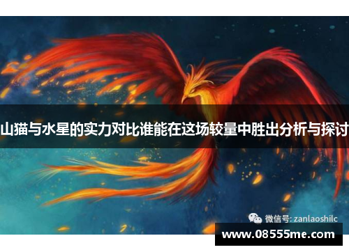 山猫与水星的实力对比谁能在这场较量中胜出分析与探讨